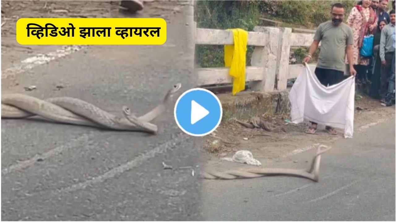 Snake dance