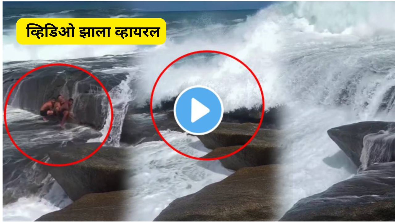 sea viral video