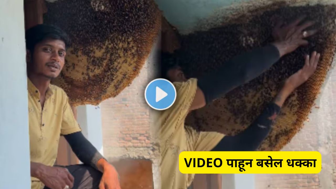 Video Shows Man Grabbing Honey